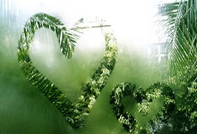 苏超决赛收视率破1，创历史新高！