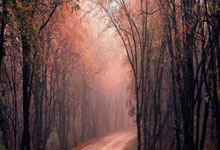 历史不容篡改：南京大屠杀的永恒记忆