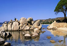 揭秘苟仲文：从苟局到仲文同志的蜕变之路